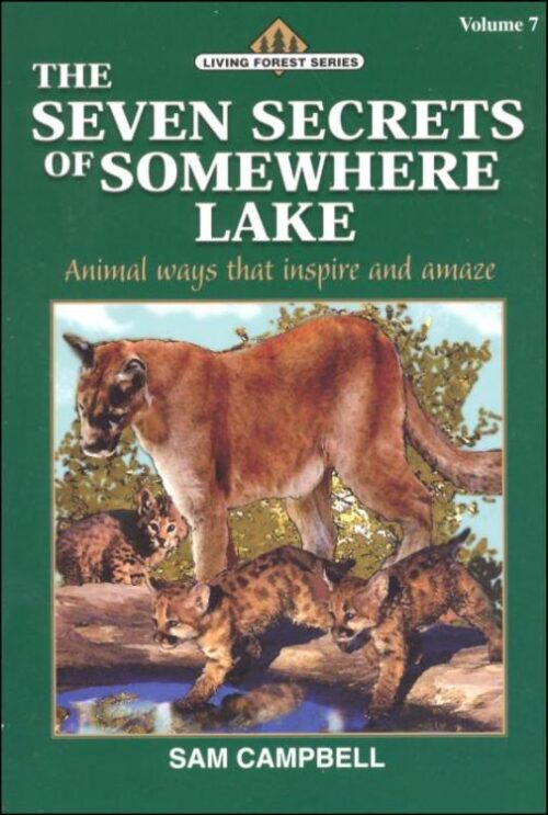 9781881545576 7 Secrets Of Somewhere Lake