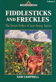 9781881545965 Fiddlesticks And Freckles